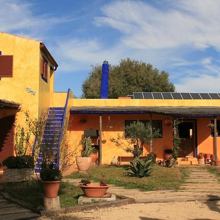Ferienwohnung El Vuelo De La Libelula Barbate Exterior foto