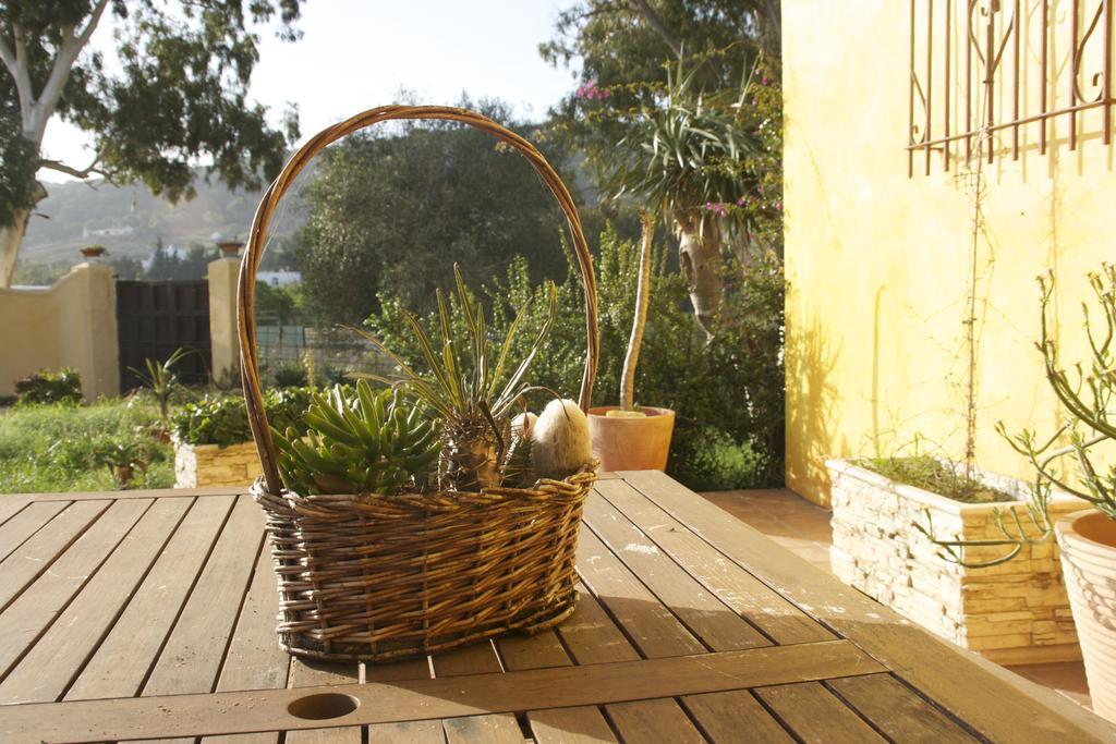 Ferienwohnung El Vuelo De La Libelula Barbate Zimmer foto